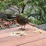 Apartamento Duddon Valley Attic, District National Park, Sleeps 4