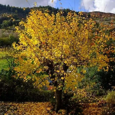 Duddon Valley Attic, District National Park, Sleeps 4 * Broughton in Furness