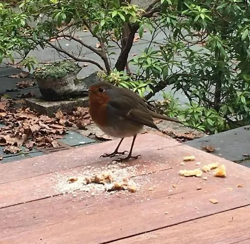 アパート Duddon Valley Attic, District National Park, Sleeps 4